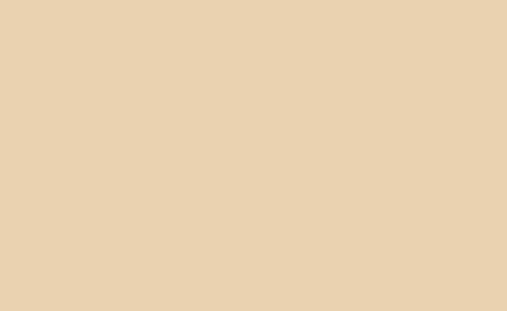 Екстериорна боя Polisan A1 Acrylic Flat 15L